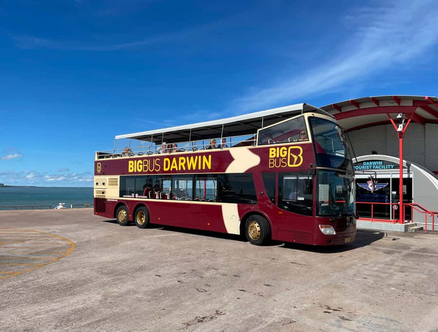 Darwin: Big Bus Open-Top Hop-on Hop-off Tour - Crocosaurus Cove for close-up crocodile encounters