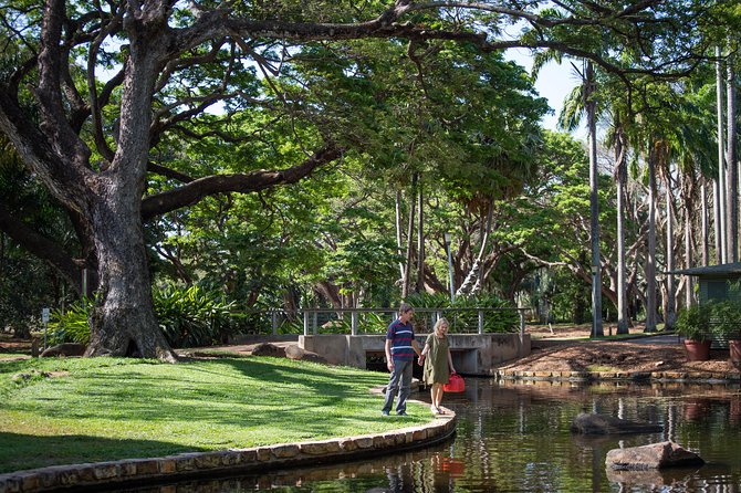Darwin City Sightseeing Tour - Aboriginal art at the Museum and Art Gallery