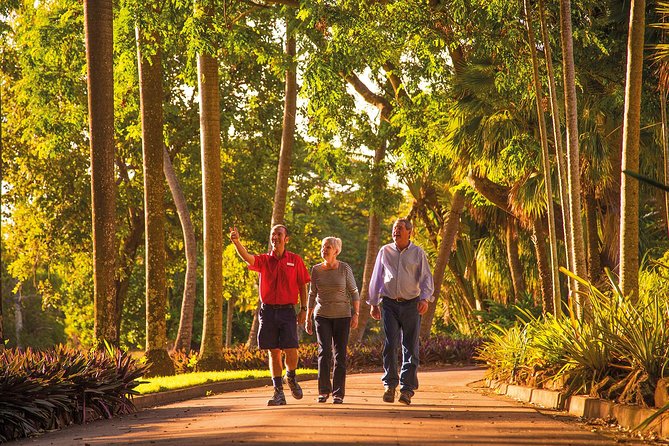 Darwin City Sightseeing Tour - Why the guide can make or break the morning