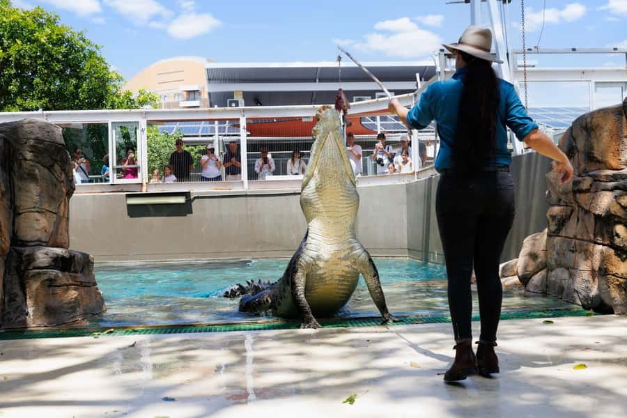 Darwin: Crocosaurus Cove Entry & Hop-on-Hop-Off Bus Tour - Three worthwhile stops to add to your day