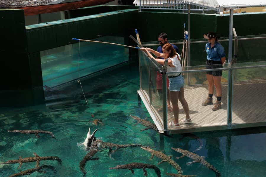 Darwin: Crocosaurus Cove Entry & Hop-on-Hop-Off Bus Tour - Should you book it?
