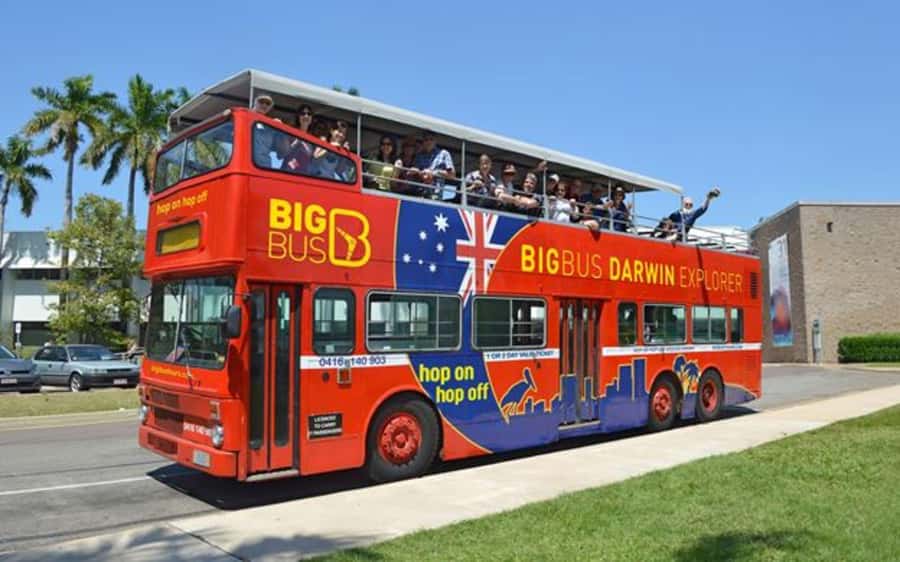 Darwin: Hop-On Hop-Off Bus, Crocosaurus Cove and RFDS Entry - Crocosaurus Cove: give the reptiles enough time