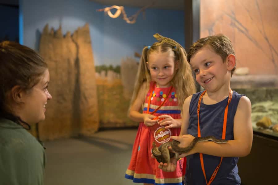 Darwin: Hop-On Hop-Off Bus, Crocosaurus Cove and RFDS Entry - Start with the bus, but confirm the day first