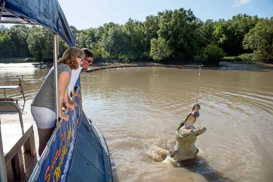 Darwin: Jumping Crocodile Cruise - Should you book the Jumping Crocodile Cruise?