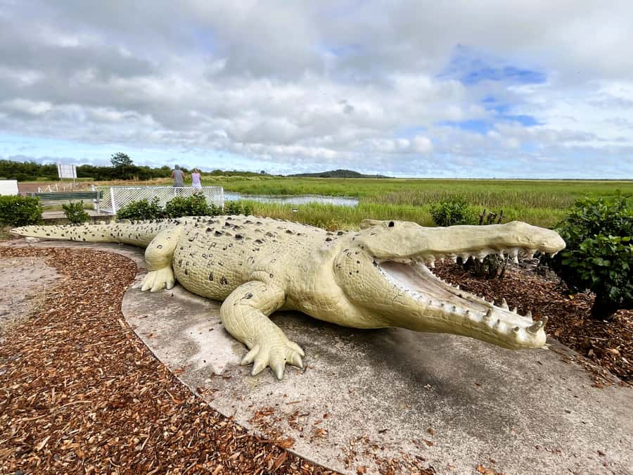 Darwin: Jumping Crocodile Cruise - Wildlife beyond the crocodiles