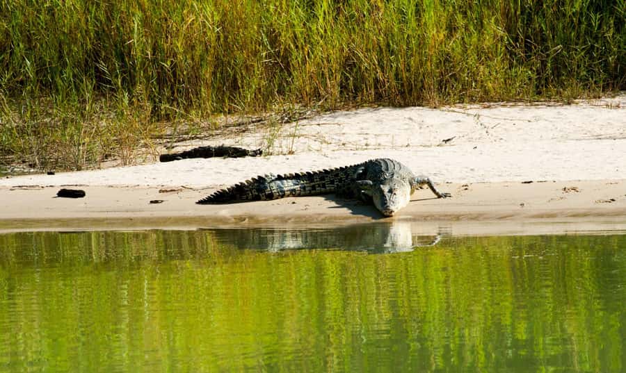 Darwin: Jumping Crocodile Cruise - Practical details that make the morning easier