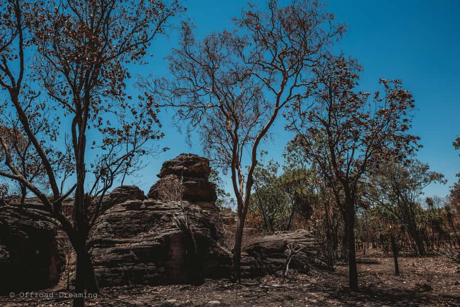 Darwin: Kakadu National Park Day Tour with Lunch - Lunch after the Ubirr walk
