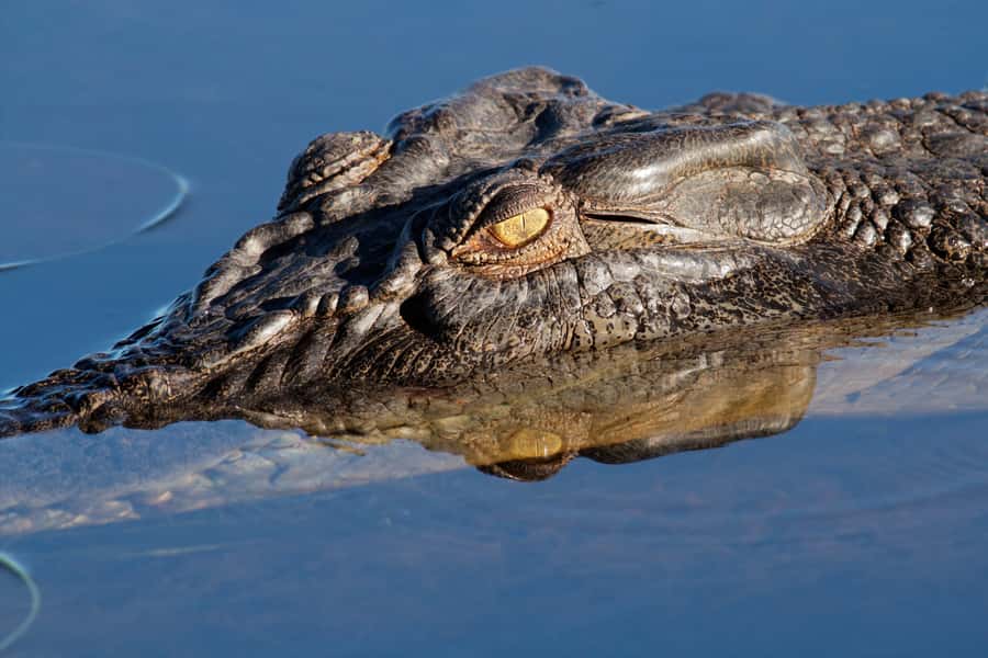 Darwin: Kakadu National Park Day Trip - The 9:00 flight over rivers and wetlands