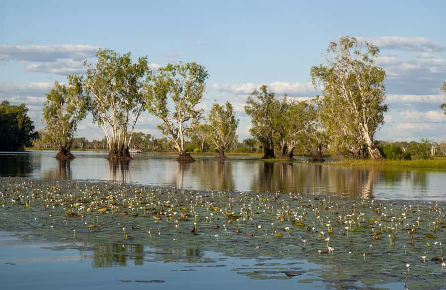 Darwin: Kakadu National Park Day Trip - Lunch at Barra Bar and Bistro