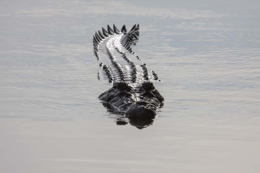 Darwin: Kakadu National Park Day Trip - Practical tips for a smoother day