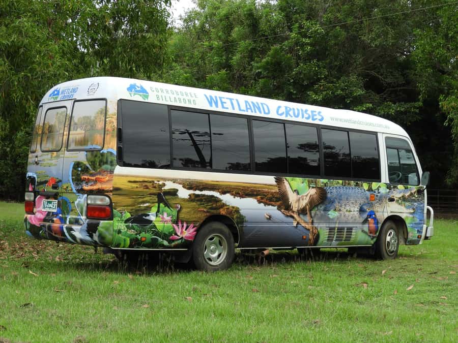 Darwin: Mary River Wetlands Wildlife Cruise with Lunch - Key points to know before booking