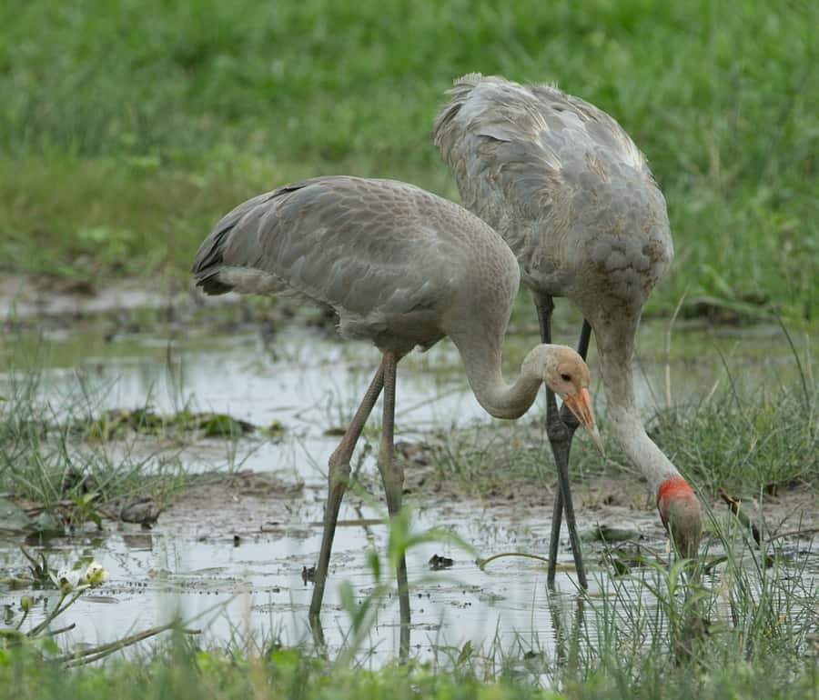 Darwin: Mary River Wetlands Wildlife Cruise with Lunch - Transport, timing and comfort