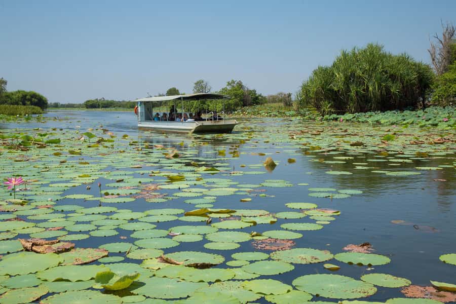 Darwin: Mary River Wetlands Wildlife Cruise with Lunch - Fogg Dam, from rice project to bird refuge