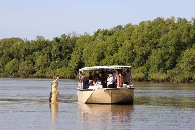 Darwin: Pathfinder Original Jumping Crocodile Cruise - Key points before you book