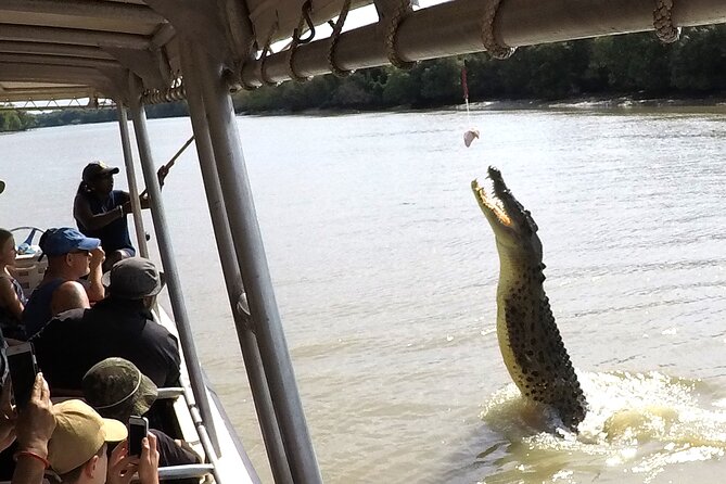 Darwin: Pathfinder Original Jumping Crocodile Cruise - Why the Adelaide River makes this more than a wildlife display
