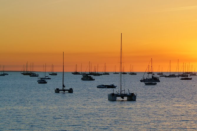 Darwin Shore Excursion: Hop-on Hop-off Bus Tour - Is $35.14 good value?