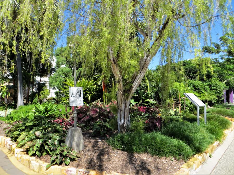 Darwin: Small Group 2-Hour Heritage Walk - World War II and the city’s hardest chapter