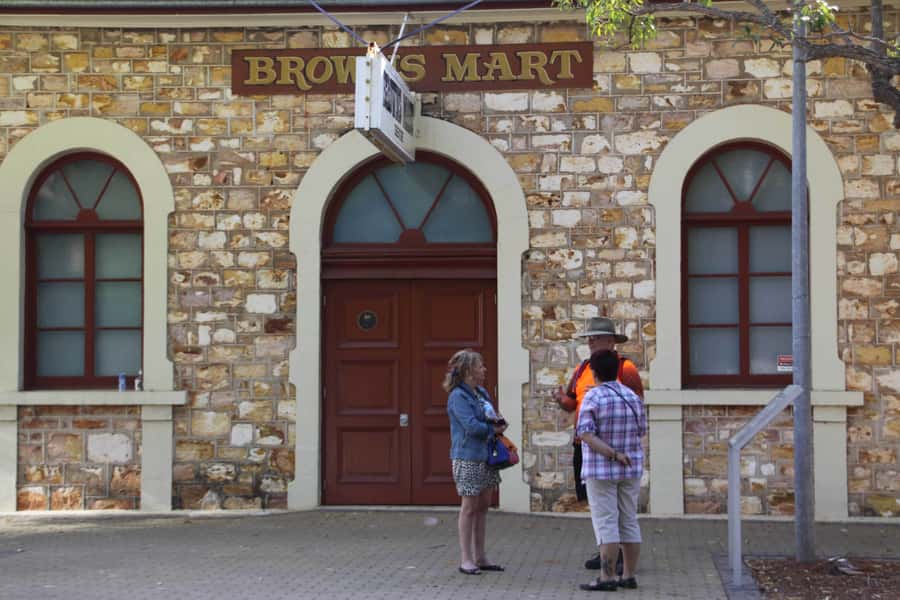 Darwin: Small Group 2-Hour Heritage Walk - Darwin’s past is best understood on foot