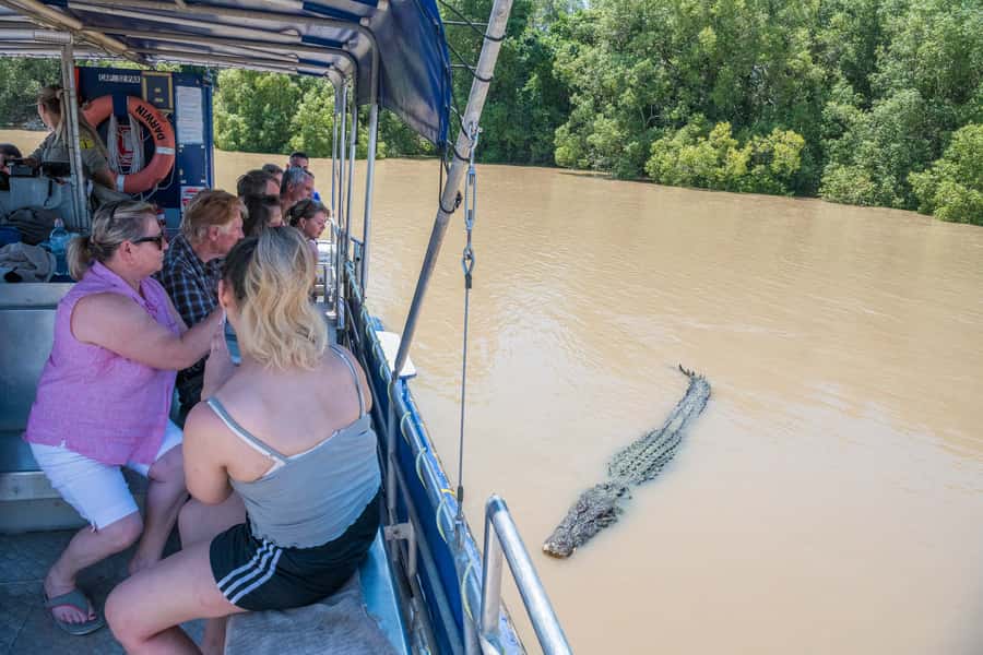 Darwin: Spectacular Jumping Crocodile Adelaide River Cruise - Why these crocodiles make the Adelaide River worth visiting