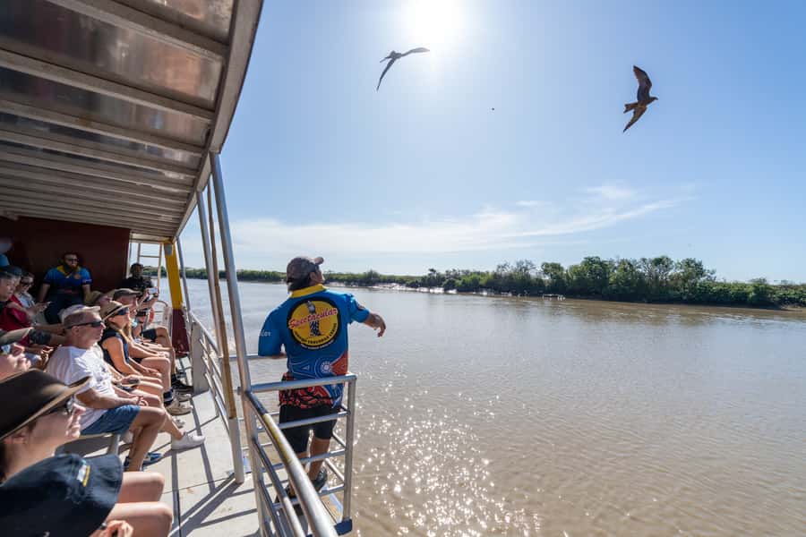 Darwin: Spectacular Jumping Crocodile Adelaide River Cruise - Is $38 good value for one hour?