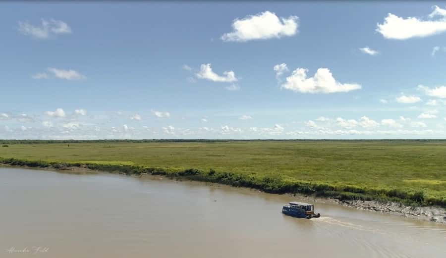 Darwin: Spectacular Jumping Crocodile Adelaide River Cruise - Weather, comfort, and what to bring