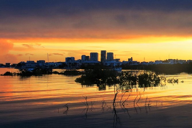 Darwin Sunset Cruise Including Fish 'n' Chips - The harbour route from mangroves to Fannie Bay