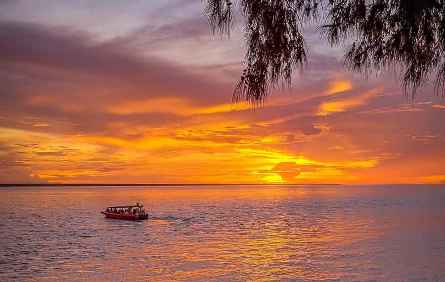 Darwin: Sunset Harbour Cruise with Fish and Chips Dinner - Fish and chips with a Top End view