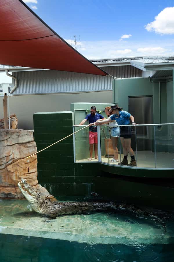 Darwin: VIP Crocosaurus Cove Experience - Why the 90-minute VIP format works