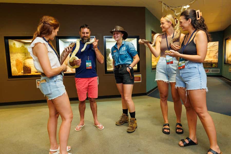 Darwin: VIP Crocosaurus Cove Experience - Snakes and lizards in the reptile house