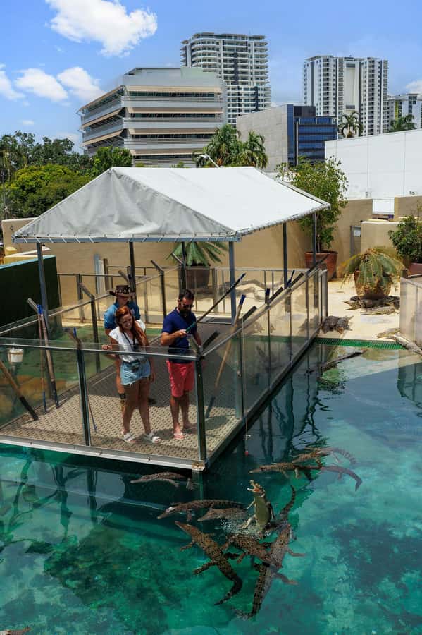Darwin: VIP Crocosaurus Cove Experience - Is $66 good value in Darwin?