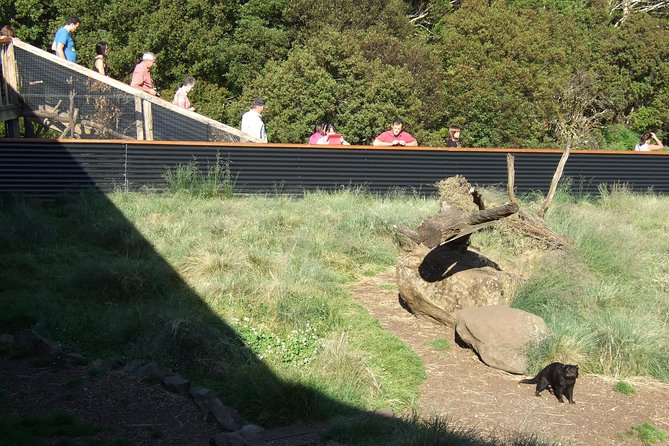 Day Keeper Tour - A keeper-led walk, not a hurried animal parade