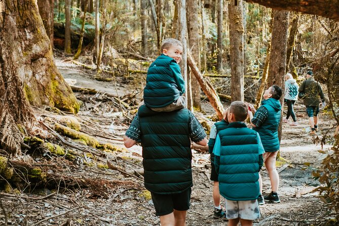 Day Tour in Mt. Field, Mt. Wellington, Bonorong Wildlife Sanctuary and Richmond - A full day beyond Hobart
