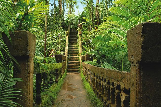 Day Tour to Paronella Park, Lake Barrine and Millaa Millaa Falls - Country towns, lunch, and the long middle of the day