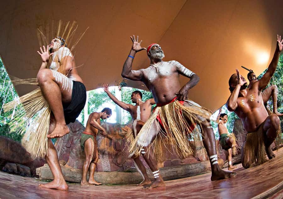 Day Trip: Rainforest & Aboriginal Culture Tour - Who will enjoy this day most