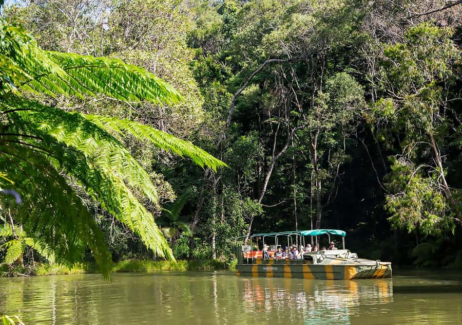 Day Trip: Rainforest & Aboriginal Culture Tour - Bumping through the rainforest in an Army Duck