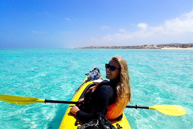 Deluxe Mega Fauna Humpback or Whaleshark Swim Ningaloo Reef - Booking risks and weather rules