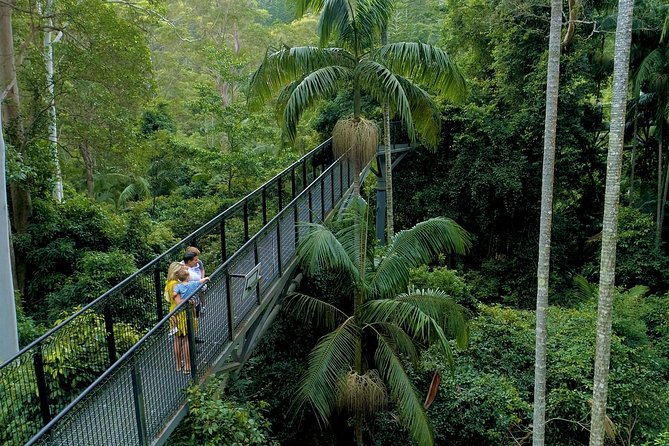 Deluxe Springbrook & Mt Tamborine Glow Worms and famous Skywalk - Key points to know before booking