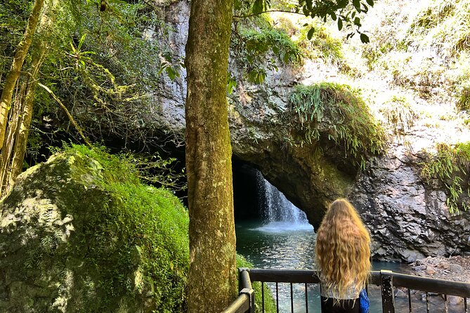 Deluxe Springbrook & Mt Tamborine Glow Worms and famous Skywalk - A full day from Brisbane without the driving work