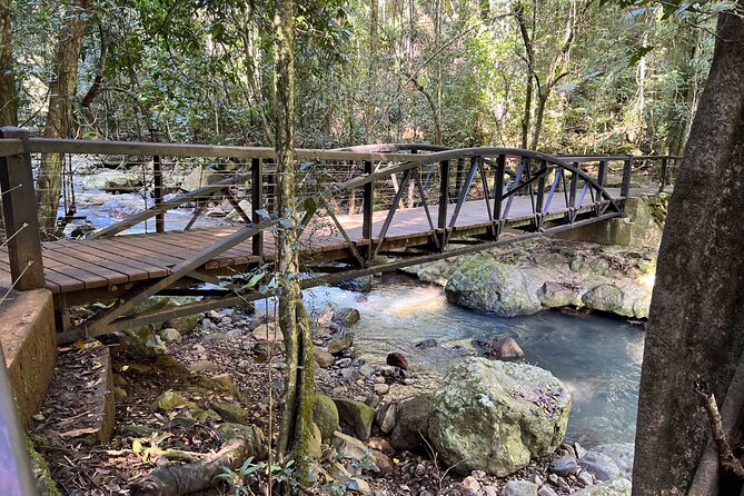 Deluxe Springbrook & Mt Tamborine Glow Worms and famous Skywalk - Robert Sowter Park brings the big hinterland views