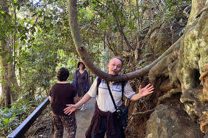 Deluxe Springbrook & Mt Tamborine Glow Worms and famous Skywalk - Gallery Walk mixes shops, food, and a little browsing