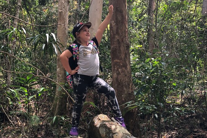 Deluxe Springbrook & Mt Tamborine Glow Worms and famous Skywalk - Tamborine Skywalk is the day’s strongest outdoor finish