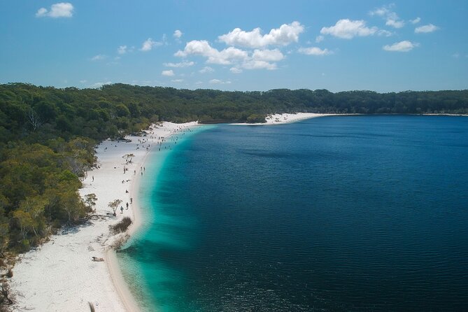 Dingos 3 Day K'Gari (Fraser Island) 4WD Tag-Along Tour - Why driving K’Gari changes the experience