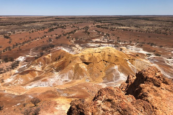 Dinosaur Stampede 3/4 Day Tour from Winton - Why the Dinosaur Stampede matters