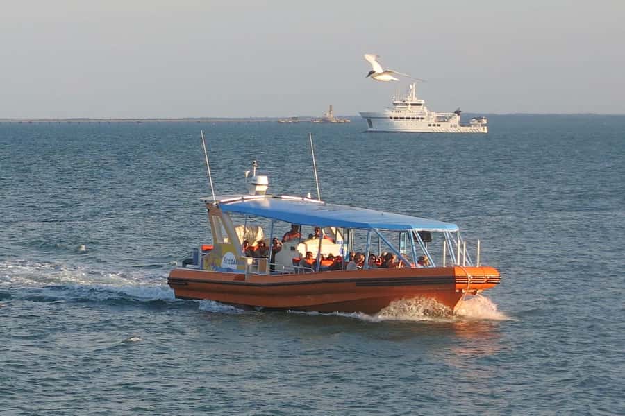 Discover Darwin Harbour: Darwin Harbour Afternoon Cruise - What the $43 price really gets you