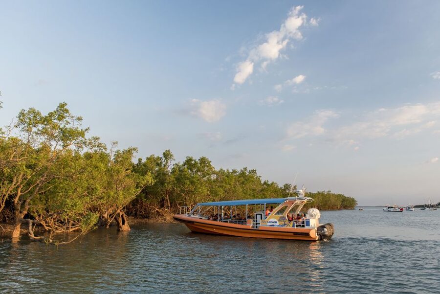 Discover Darwin Harbour: Darwin Harbour Afternoon Cruise - Should you book Discover Darwin Harbour?