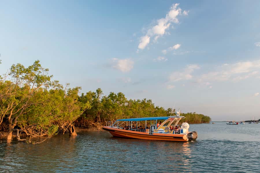 Discover Darwin Harbour: Darwin Harbour Afternoon Cruise - Mangroves, tidal flats, and coastal wildlife