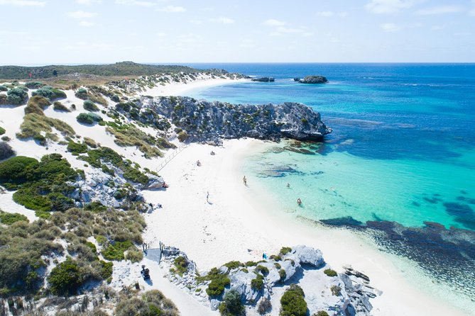 Discover Rottnest with Ferry & Bus Tour - Key points at a glance