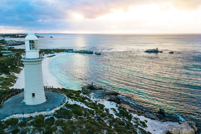 Discover Rottnest with Ferry & Bus Tour - Why Rottnest works so well as a day trip