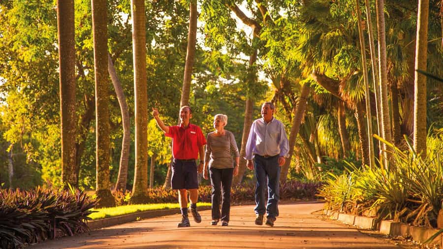 Discover the City of Darwin: Half-Day City Coach Tour - Key points to know before booking