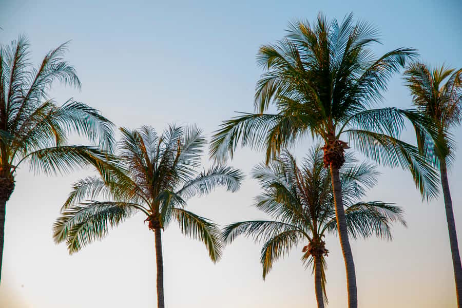 Discover the City of Darwin: Half-Day City Coach Tour - Stokes Hill Wharf and the wider city route